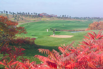Qingdao International Golf Course Qingdao International Golf Course